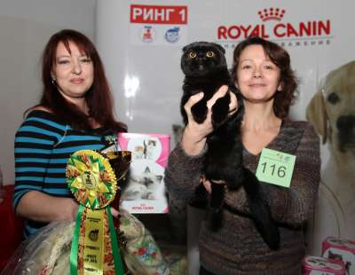 �������� ����� '������� ���-�����' 30 ������-1 ������� 2013� 116_best2_opp_sex_sh_IMG_4574 copy.jpg